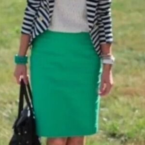 WS skirt